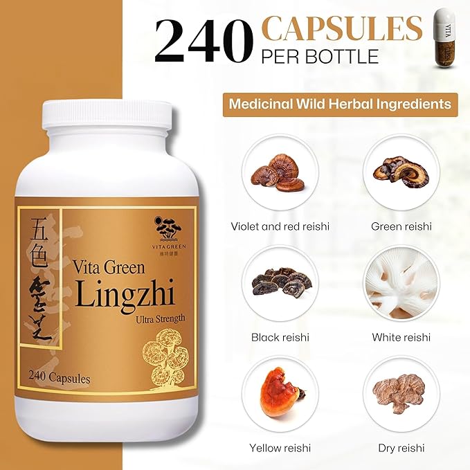 Vita Green Lingzhi Mushroom Supplement (五色靈芝) – Pure Reishi with Natural Antioxidants for Wellness Energy and Immune Support for Men &amp Women – 240 Capsules