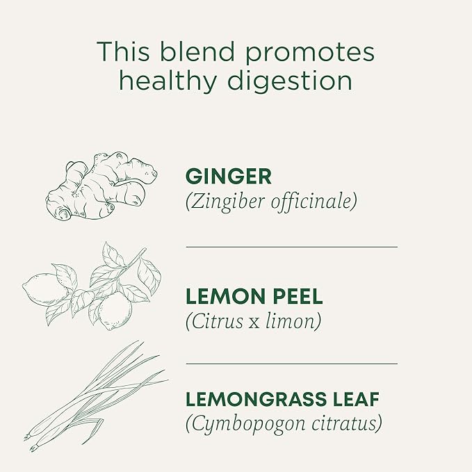 Traditional Medicinals Organic Lemon Ginger Herbal Tea Promotes Healthy Digestion Kosher Non-GMO Caffeine-Free Compostable - 96 Count (Pack of 6)