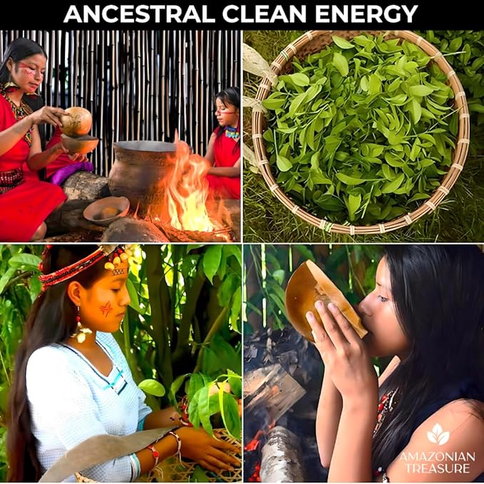 Amazonian Treasure Organic Guayusa Loose Leaf Tea 16 OZ (1LB) Smooth Energy Boost Alternative to Coffee &amp Yerba Mate 60 mg Caffeine per Serving.
