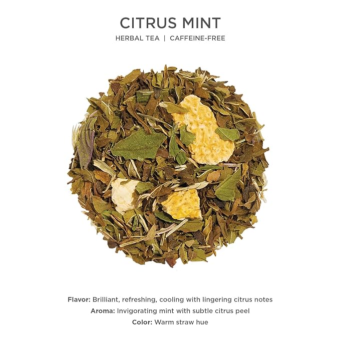 Tea Forte Citrus Mint Premium Caffeine-Free Herbal Tea Blend Event Box Bulk Pack 40 Count 10 per tray Individually Wrapped Handcrafted Pyramid Infusers