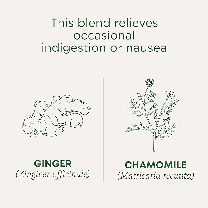 Traditional Medicinals Tea Organic Ginger &amp Chamomile - Occasional Nausea &amp Indigestion Relief - Kosher Non-GMO Caffeine-Free - 96 Count (Pack of 6)