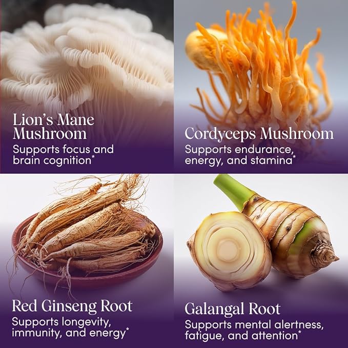 Apothékary Mindcraft Supports Focus Cognition Longevity and Anti-Aging Fast-Acting Herbal Liquid Drops with Lion’s Mane and Cordyceps Certified Organic Made in USA 1 fl oz 30 Servings