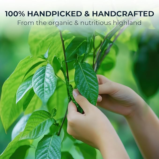 Celastrus Hindsii Leaf Tea - Re-Steep Pure Whole Leaves Vacuum Sealed - 4.23 oz Support HealthSystem Natural Herbal Tea No Sugar No Additives