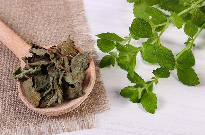 Health Embassy Lemon Balm Leaf | Melissa Officinalis L | Herbal Tea (50g)