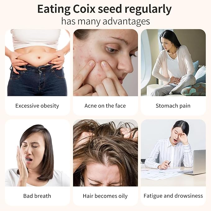 Job's Tears Coix Seed Jobs Tears Seeds Pearl Barley Coix Rice No addition No Sugar薏米 薏仁米 薏仁 薏苡仁18oz/500g