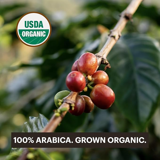 G GRANA Coffee Pods Compatible with Nespresso OriginalLine 40 Count Dark and Medium-Dark Roast USDA Organic 100% Arabica Single Source Specialty Coffee Compostable Single Serve Capsules
