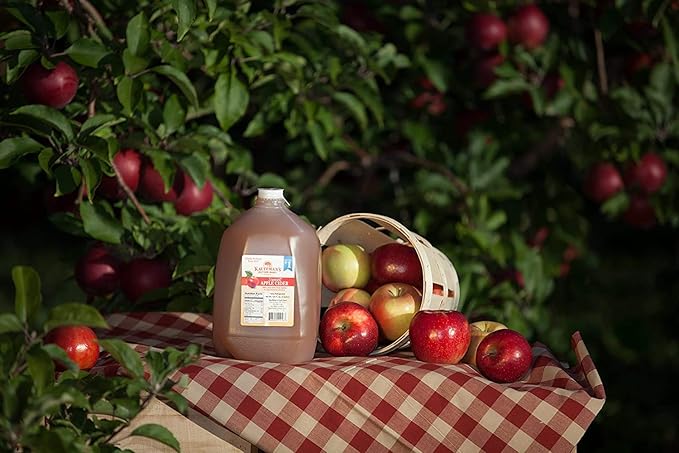 Kauffman's Fruit Farm Orchards Homemade Fresh-Pressed Apple Cider Frozen for Shipping 0.9 Gallon