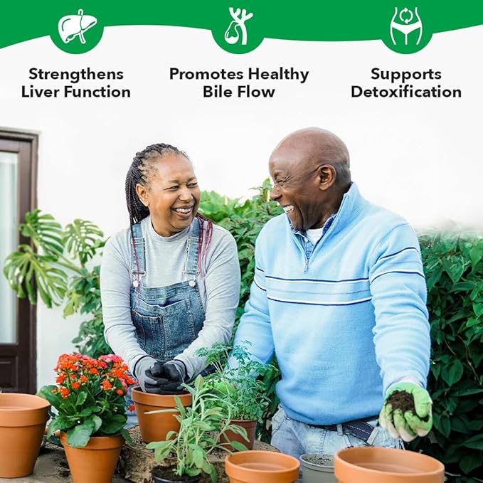 LifeSeasons Puri-T - Liver Cleanse &amp Detox Support Supplement - Resveratrol N-Acetyl Cysteine Milk Thistle Artichoke &amp Turmeric - Supports Tissue Regeneration &amp Healthy Bile Flow - 60 C