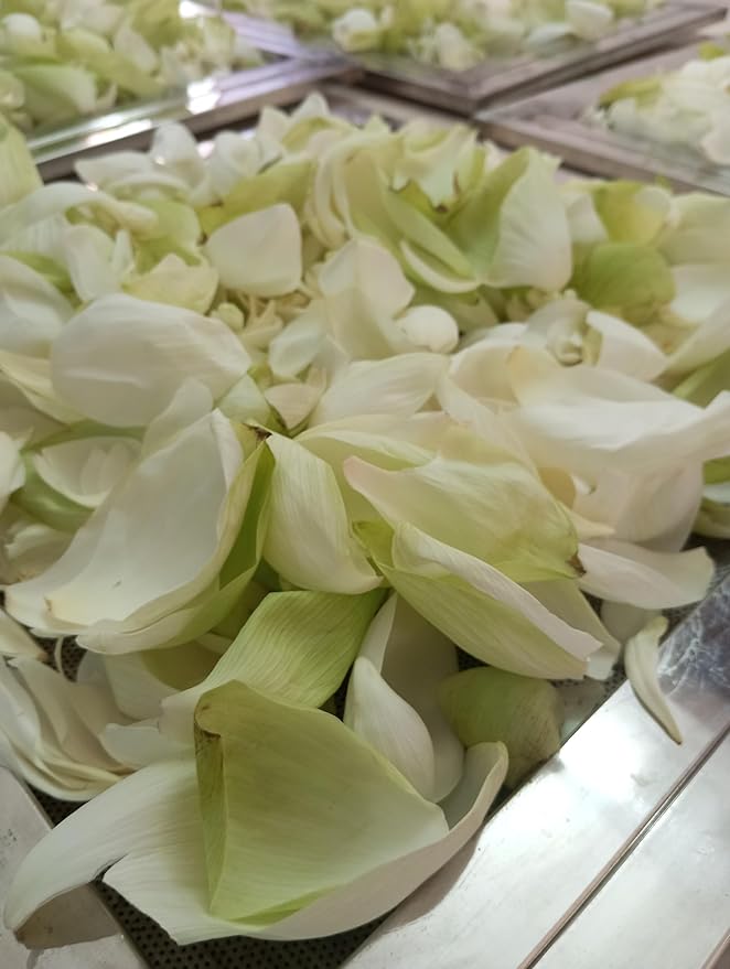 FounditGood’s Pure 'White Lotus Tea' (Nelumbo nucifera) | Herbal Infusion | 100% Natural &amp Pure | Heart Health Support | 60 Dip Tea bags