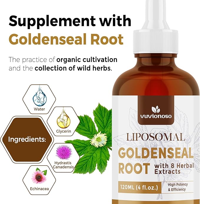 Goldenseal Root Extract 3000mg – Goldenseal Tincture for Immune &amp Respiratory – Fast Absorbing Sugar-Free Vegan – 120 mL (4 fl oz)