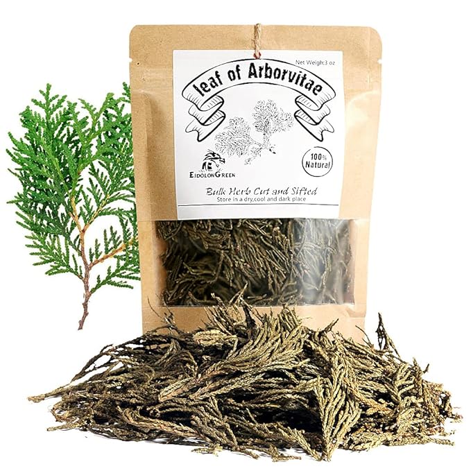 EidolonGreen [China Medicinal Herb] Leaf of Arborvitae (Green leaf of Arborvitae/Thuja/측백엽/侧柏叶/Ce bai ye) Dried Bulk Herbs (3 Oz / 88g)