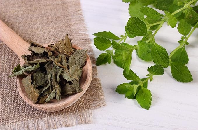 Health Embassy Lemon Balm Leaf | Melissa Officinalis L | Herbal Tea (100g)