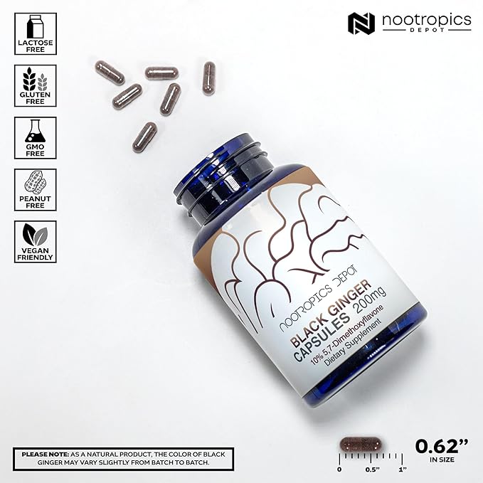 Nootropics Depot Black Ginger Extract Capsules | 10% 57-dimethoxyflavone | 180 Count