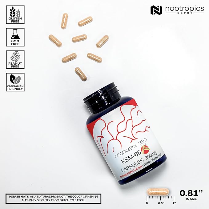 Nootropics Depot KSM-66 Ashwagandha Capsules | 300mg | 180 Count | Withania somnifera Extract | Ayurvedic Herb | Adaptogen Supplement | Stress + Promote Relaxation* | Energy Memory + Focus*