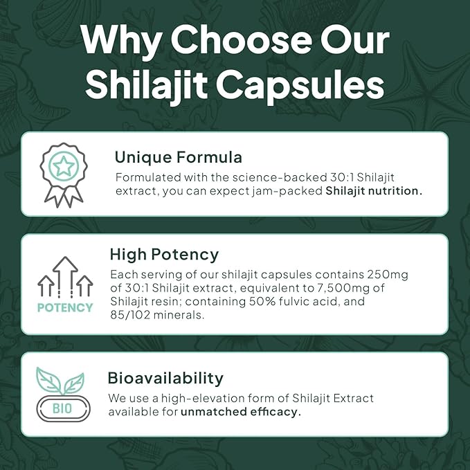 Organics Ocean One-Per-Day Shilajit for Men and Women - Natural and Potent Shilajit Supplement for Age-Defying Bone Strength Hormone Support and More - 6 Bottles Capsules