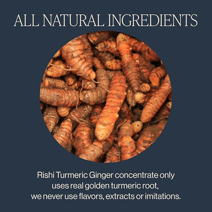 Rishi Tea Turmeric Ginger Chai Latte - Organic Herbal Tea Concentrate with Ginger - Easy-to-Serve Hot or Iced Caffeine Free - 32 Fl Oz (Pack of 12)