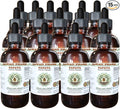 Hawaii Pharm Papaya Alcohol-Free Liquid Extract Professional Grade Small Batch Crafted (Carica Papaya) Dried Leaf Glycerite Natural Herbal Supplement 15x4 fl.oz