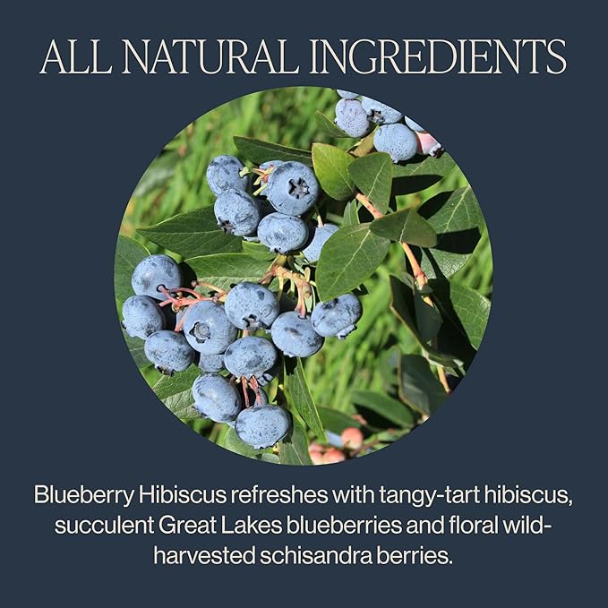Rishi Tea Blueberry Hibiscus Herbal Tea - Organic Caffeine Free Sachet Bags Sweet &amp Tangy with Antioxidants Enjoy Hot or Iced - 50 Count