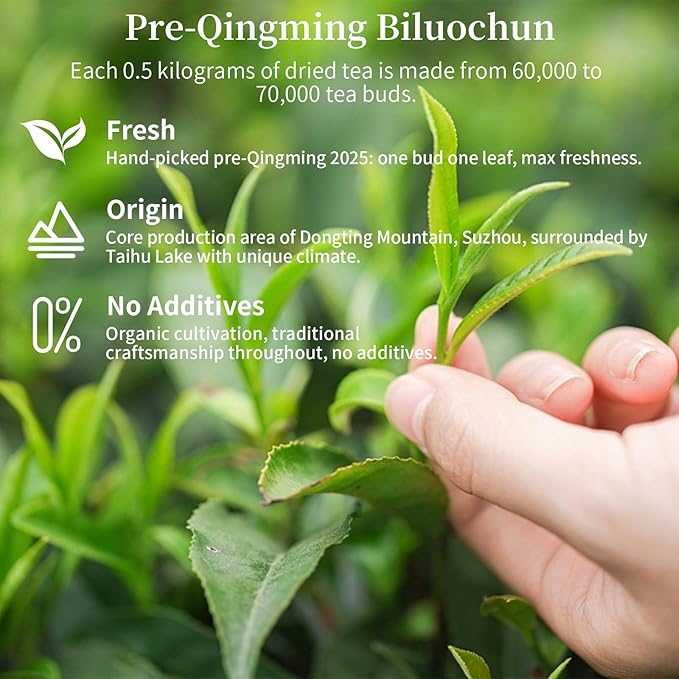 CHADUO Bi Luo Chun Tea Chinese Green Tea Loose Leaf New Tea Biluochun Green Tea From Dongting Mountain Supreme Grade Pi Luo Chun Fresh Flower &amp Fruit Notes 120g/4.23oz 碧螺春 绿茶 中国绿茶