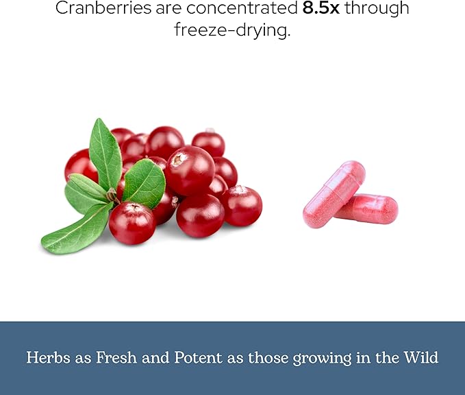 Eclectic Herb - Premium Freeze Dried Cranberry Capsules | Urinary Tract Support | Cranberry Supplement for Urinary Tract Health | US-Grown Organic Non-GMO Gluten Free Vegan (120 CT | 300 mg)