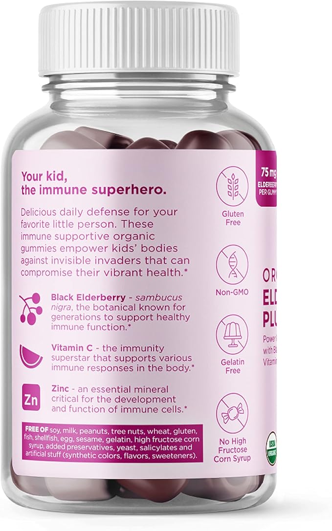 Hyland's Kids Organic Elderberry Plus Gummies Organic Black Elderberry with ZINC and Vitamin C Immune Support for Children 48 Vegan Gummies (Pack of 2)