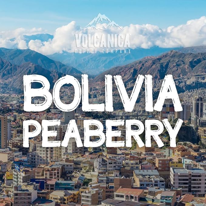 Bolivia Peaberry Coffee Carnavari Whole Bean Fresh Roasted 16-ounce