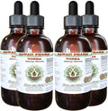 Tonka Alcohol-Free Liquid Extract Tonka (Dipteryx odorata) Dried Beans Glycerite Natural Herbal Supplement Hawaii Pharm USA 4x4 fl.oz