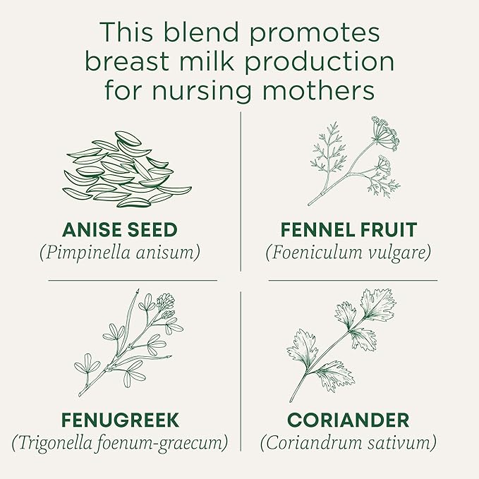 Traditional Medicinals - Organic Mother's Milk Herbal Tea (6 Pack) - Promotes Healthy Lactation in Breastfeeding Moms - 96 Tea Bags Total
