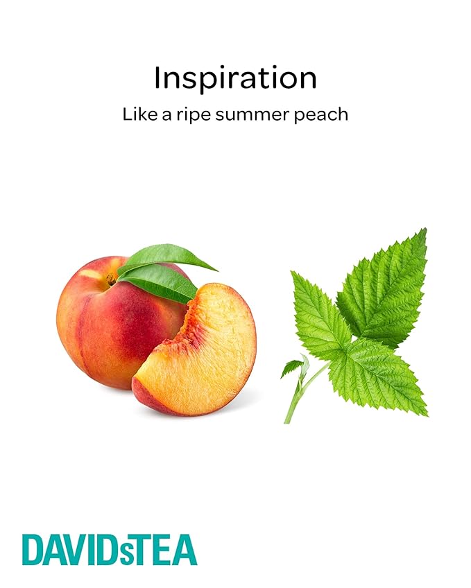DAVIDsTEA Just Peachy Loose Leaf Tea Premium Herbal Tea with Peach and Apple Fruity Iced Tea 4 oz / 113 g