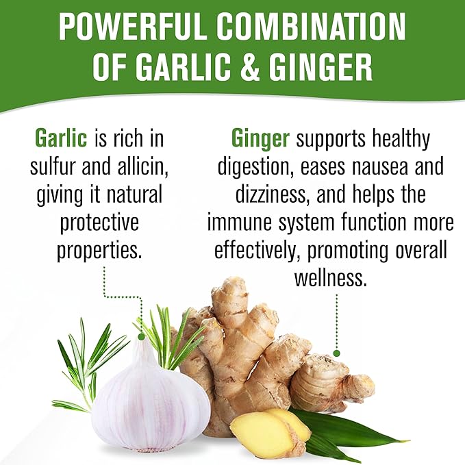NaturalSlim Garligin Odorless Garlic Supplement with Ginger for Immune Support Metabolism Booster Supports Natural Body Balance &amp Improves Digestion - 100 Capsules