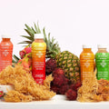 Nourish Kings All-Natural Juice with Sea Moss Variety Pack 15.2 oz