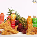 Nourish Kings- Sea Moss drink Superfood Variety Pack No Added Sugars or Preservatives 4 pack of 15.2 Fl oz Bottles