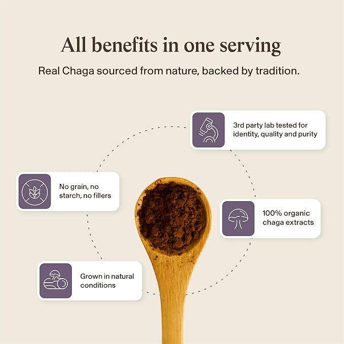 Real Mushrooms Chaga Mushroom Powder – Organic Chaga Extract from Fruiting Body – for Wellness &amp Energy Support – Vegan Non-GMO 150 Servings – Mushroom Supplement for Daily Use