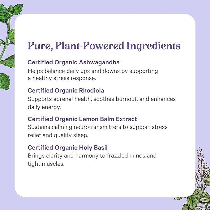 PURE SYNERGY Stress Remedy | Soothing Supplement with Ashwagandha | Organic Adaptogen Support from Rhodiola Lemon Balm and Holy Basil | for Stress Relief Adrenal Health and Mood (60 Capsules)