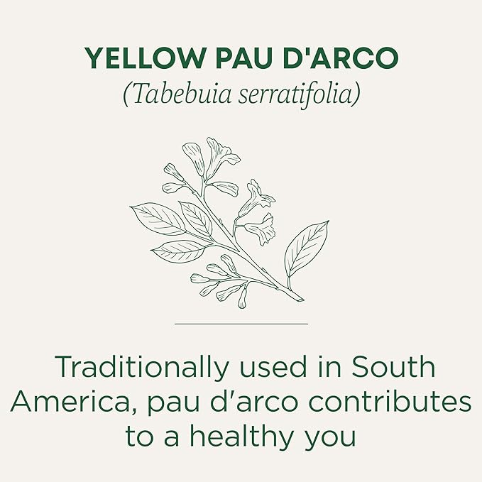 Traditional Medicinals Tea Yellow Pau d'Arco Everyday Wellness 96 Tea Bags (6 Pack)