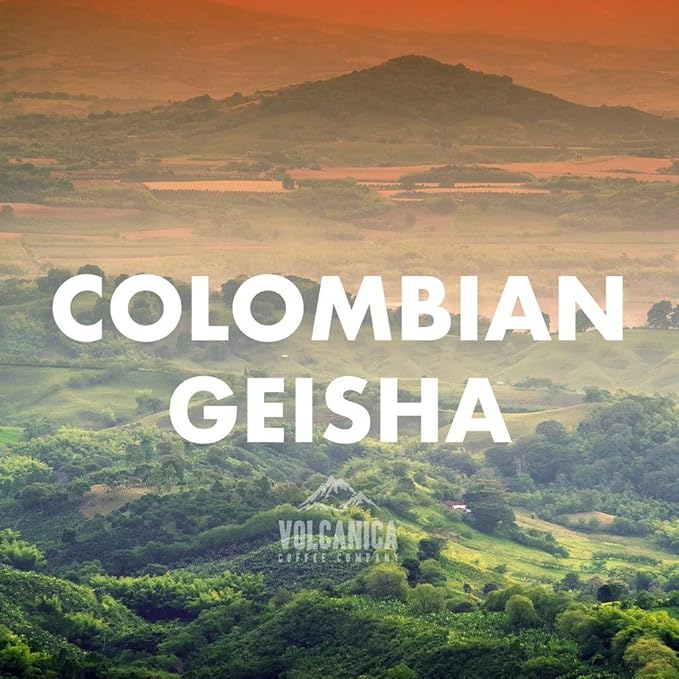 Geisha Colombia Coffee Ground Fresh Roasted 5 lbs