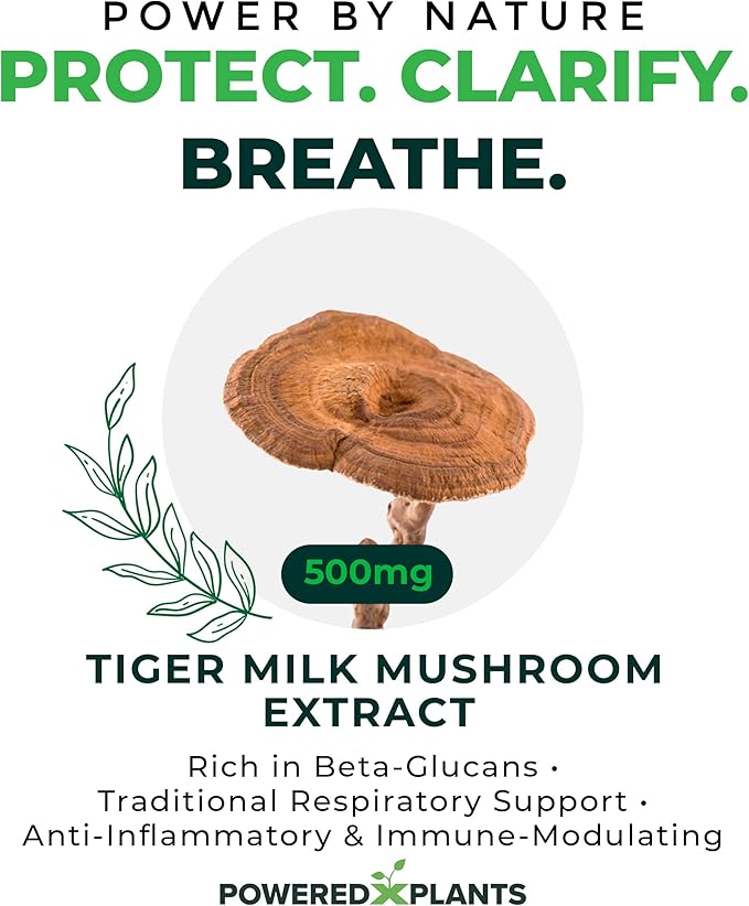 Tiger Milk Mushroom Supplement - 500mg Per Capsule with 50% Beta-Glucan - Supports Respiratory Function Cognitive Clarity Digestive Balance &amp Immune Wellness - 60 Count