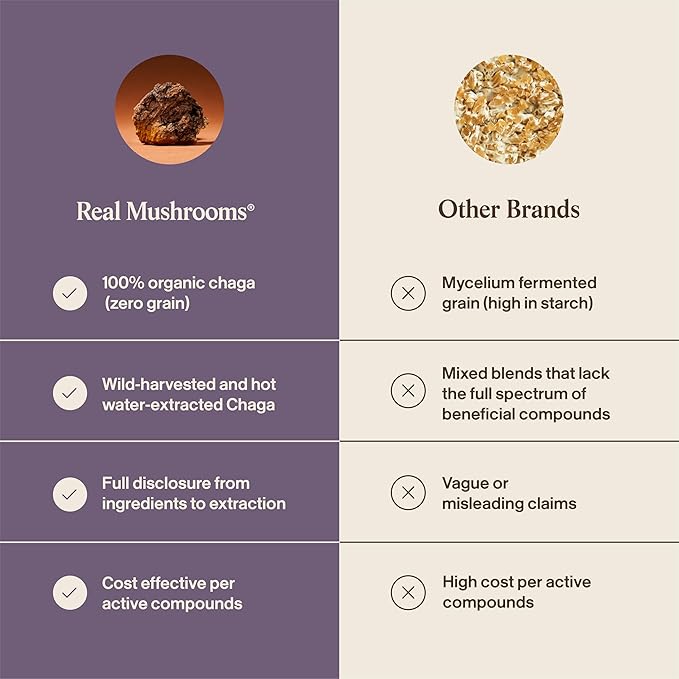 Real Mushrooms Chaga Mushroom Capsules – Organic Chaga Extract Powder with Extract Powder for Wellness &amp Energy Support– Vegan Non-GMO 120 Capsules – Organic Mushroom Supplement