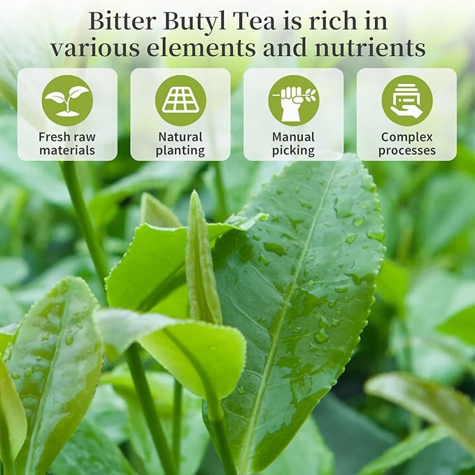 DOZO Needle Kuding Tea Ku Ding Bitter Green Tea 240g /8.46oz 100% Natural Wild Kuding Cha Herbal Tea Large Leaf Caffeine Free No Additives 苦丁茶 大叶苦丁