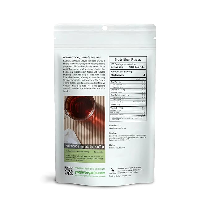 Kalanchoe Pinnata Leaves Tea Bags – 100% Pure Dried Leaves Herbal Tea Bags for Daily Brewing
