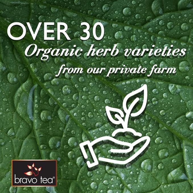 Bravo Tea Aller-Easy Herbal Tea Caffeine Free 20 Tea Bags 6 Count
