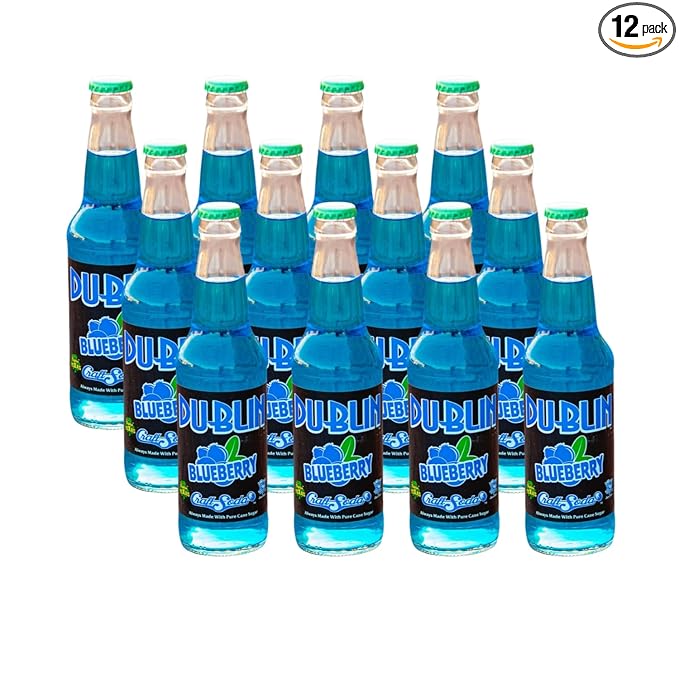 Bottling Works Craft Soda Pure Cane Sugar Made in Texas – Assorted 12-Pack – Premium Small-Batch Soda Gluten-Free Retro Artisanal Beverages (12 Pack Blueberry)