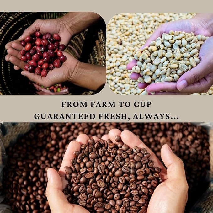 SipHaven Espresso Blend – Sipper's Whisper | Medium Roast Whole Bean Coffee | Rich Smooth Balanced Flavor | Specialty Grade Small Batch Roast | 1lb (16oz)