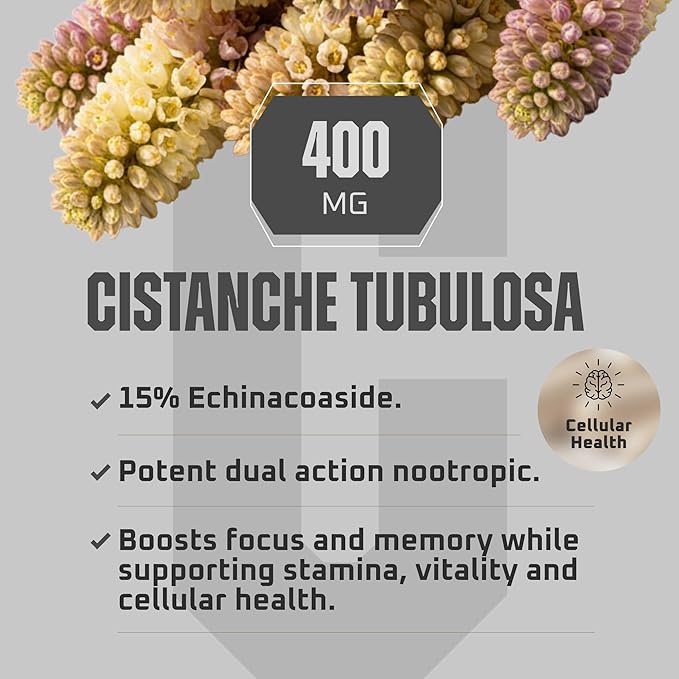 Earth Elixir Cistanche Supplement for Men &amp Women – Potent Cistanche Tubulosa Extract Capsules for Daily Vitality Strength &amp Performance Support – Made in USA 3rd Party Tested &amp 3 Month