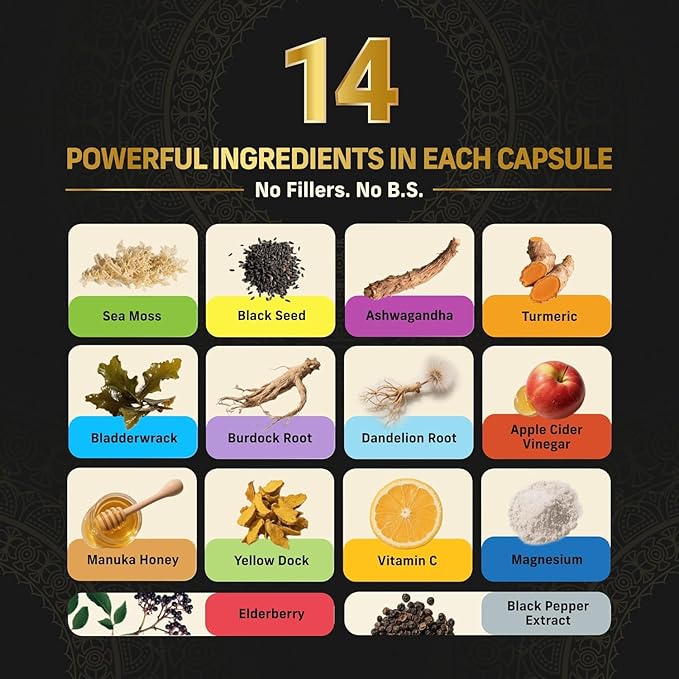 Alpha Tribe Multivitamin for Men w/Sea Moss Black Seed Oil Ashwagandha Turmeric Bladderwrack Burdock Vitamin C Elderberry Manuka | Daily Men's Vitamins &amp Minerals Supplement - 240 Count