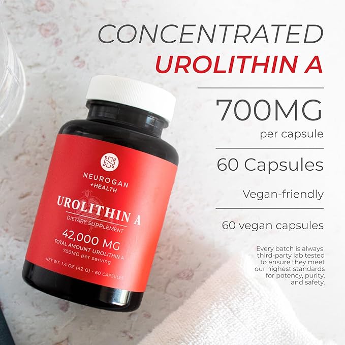 Neurogan Urolithin A Supplement Capsules - 700mg 60 Ct - High-Potency Cellular Health Postbiotic Compound- Sourced from Pomegranate Extract Made in USA Take 1 Daily