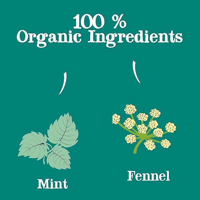 Clipper Tea Organic Mint &amp Fennel Herbal Tea After Dinner Mints - USDA Organic Non-GMO Sustainable Caffeinated British Tea 6 Pack 120 Unbleached Tea Bags