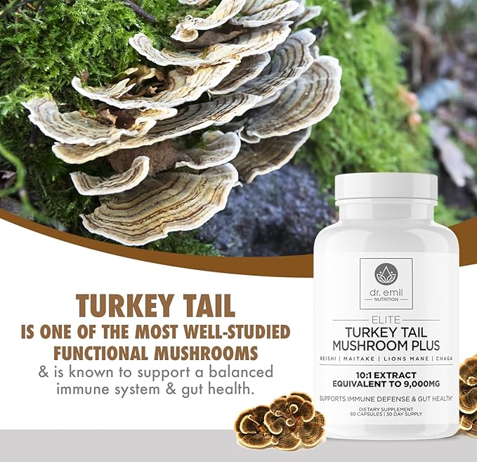 DR. EMIL NUTRITION Turkey Tail Mushroom Capsules - Turkey Tail Mushroom Supplement for Immunity &amp Gut Health - Elite Formula with Lion's Mane Chaga Reishi &amp Maitake