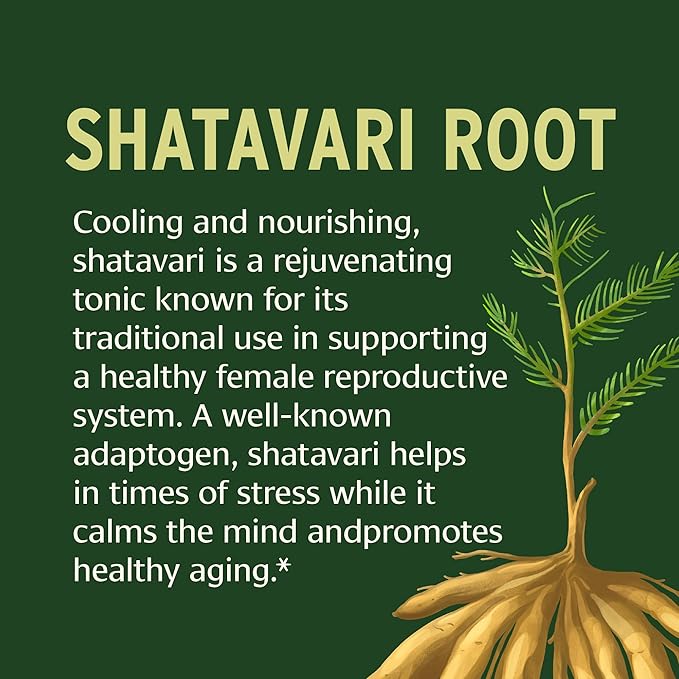 Banyan Botanicals Organic Shatavari Tablets – Rejuvenating Tonic for Feminine Vitality &amp Reproductive Health – Cooling Adaptogen for Internal Balance &amp Stress Support – 90 Tablets – USDA Organ