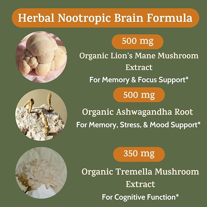 Peak + Valley Nootropic Brain Support Supplement for Memory &amp Focus with Lion's Mane Mushroom &amp Ashwagandha - 60 Ct Adaptogen Capsules - Adults/Seniors - Cognitive Brain Fog Energy Formula